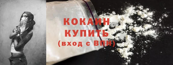 твердый Инта