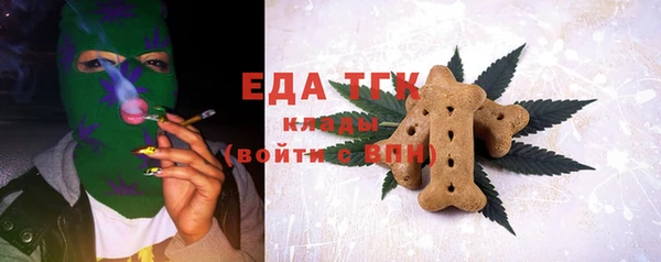 твердый Инта