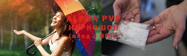 твердый Инта