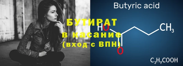 твердый Инта