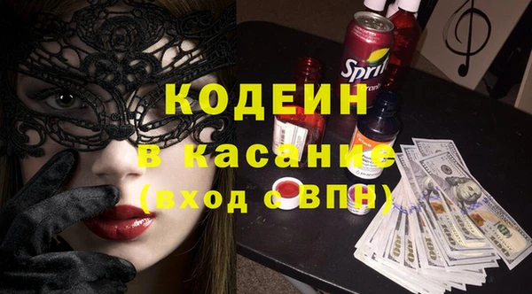 твердый Инта