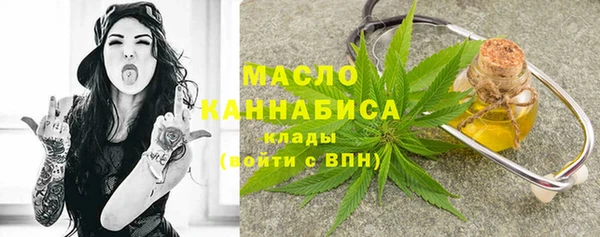 твердый Инта