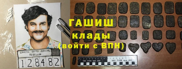 твердый Инта