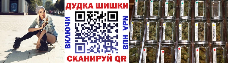 Купить где  Цимлянск  Канабис ГИДРОПОН 